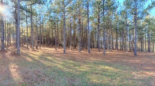 0 Three Gorges Road, Soddy Daisy, TN, 37379 | Card Image