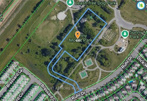 {{alt}} | Card Image