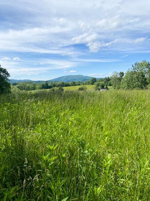 TBD Cornerstone Rd, Independence, VA, 24348 | Card Image