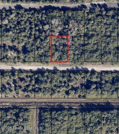677 Parrotfish St Sw, Palm Bay, FL, 32908 | Card Image