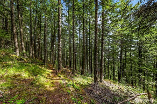 3073 Hales Passage Dr, Home with 0 bedrooms, 0 bathrooms and null parking in Lummi Island WA | Image 7