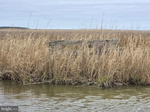 Duck, Sika &amp; Waterfow Muskrat Harbor, CRAPO, MD, 21626 | Card Image
