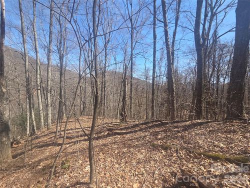4-820 Chestnut Flats Rd, Waynesville, NC, 28786 | Card Image