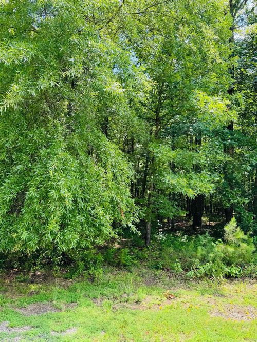 Lot 42 Primrose Creek Cir, Heber Springs, AR, 72543-8753 | Card Image