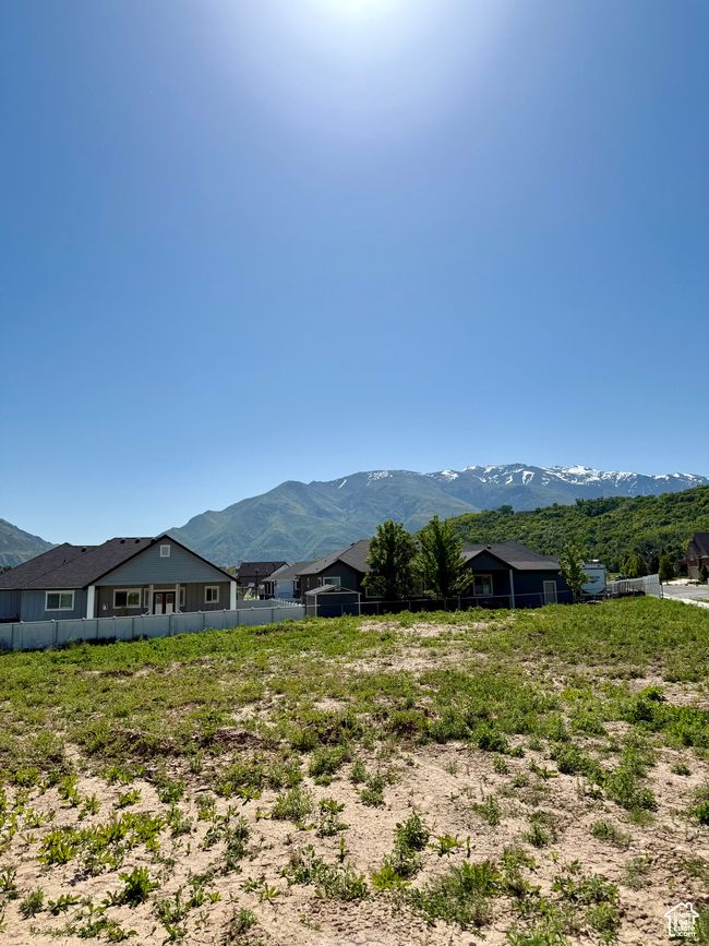 Mountain view | Image 21