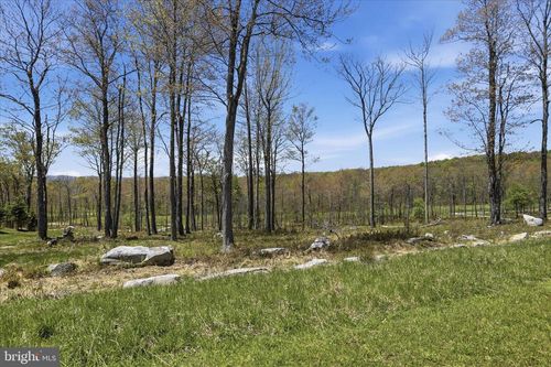 Lot 43 Biltmore Ridge Trail, MC HENRY, MD, 21541 | Card Image