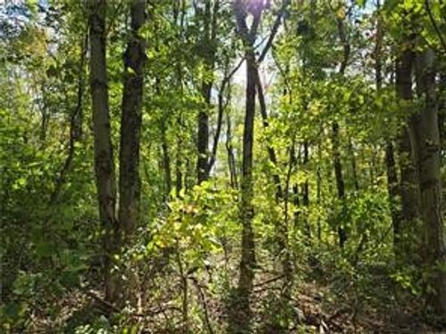 000 Lot 24 Dally Rd, Coal Center, PA, 15423 | Card Image