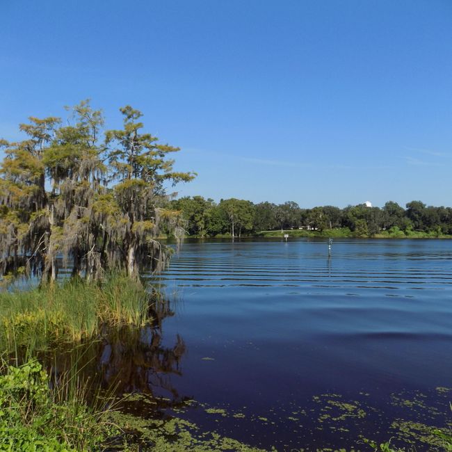LOT 2 Yacht Club Point, Home with 0 bedrooms, 0 bathrooms and null parking in Green Cove Springs FL | Image 2