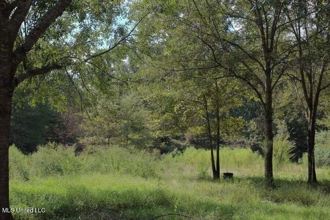 8 | Image 7