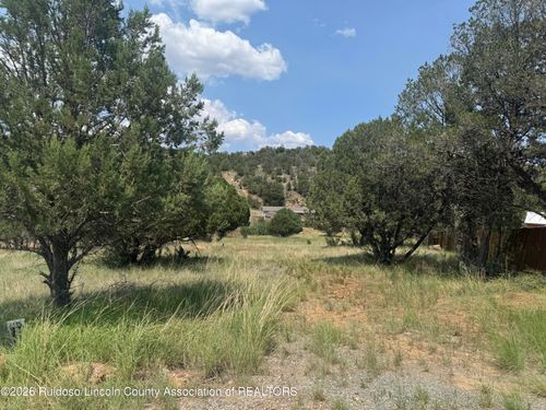 118 Cowboy Court, Alto, NM, 88312 | Card Image