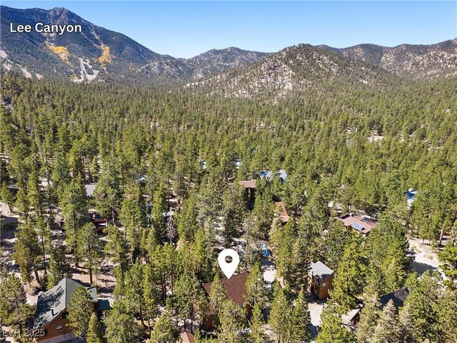 2160 Via Vita St, House other with 3 bedrooms, 3 bathrooms and null parking in Mount Charleston NV | Image 4