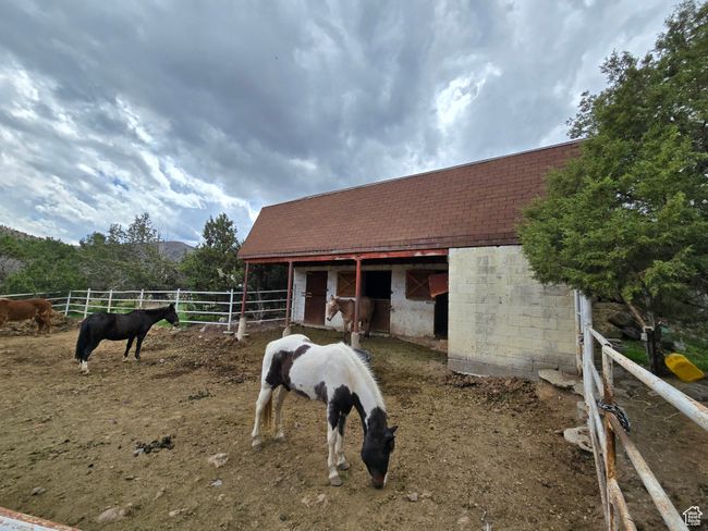 View of stable | Image 4
