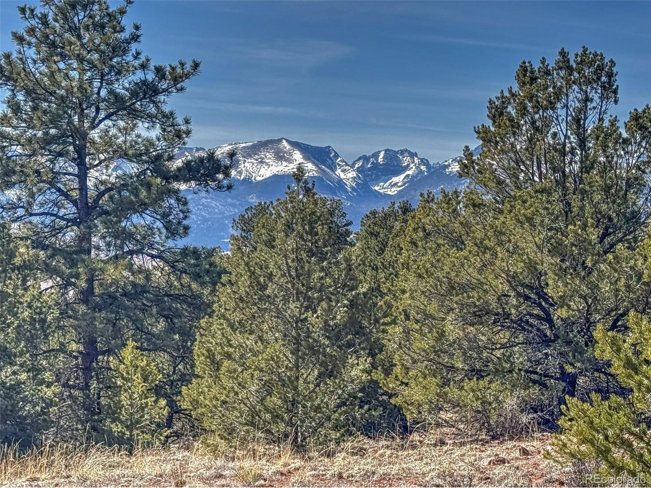 Land in Westcliffe 2