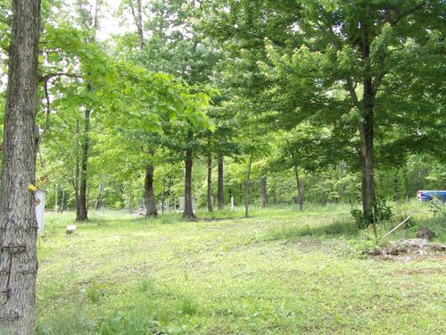 00 Kerley Rd, Spring City, TN, 37381 | Card Image