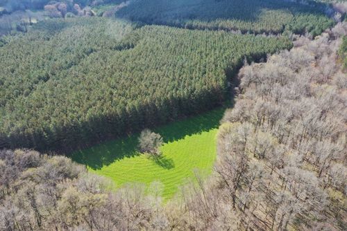 0 Moore Rd, Holly Springs, MS, 38635 | Card Image