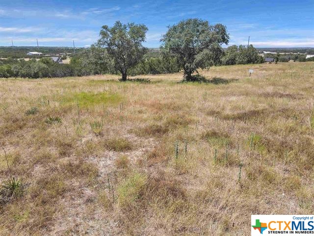 Land in Burnet 5