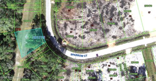 0-0000 Sparrow Ct, Kissimmee, FL, 34759 | Card Image