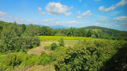 2615 North Rd, Bethel, VT, 05032-9203 | Card Image