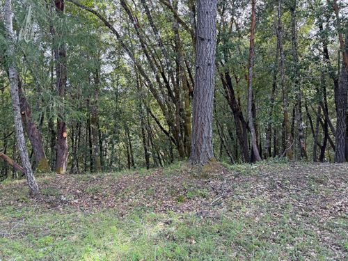 25380 Sherwood Road, Willits, CA, 95490 | Card Image