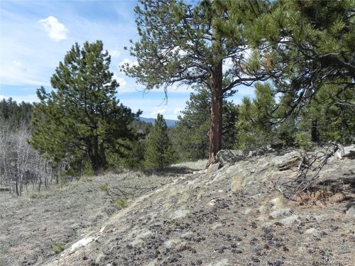160 Broken Arrow Path, Lake George, CO, 80827-9702 | Card Image