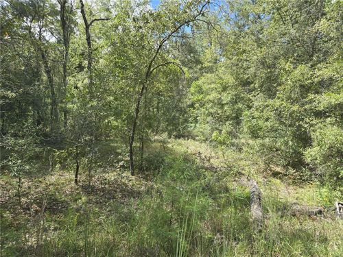 00 Ne 150th Ct, Williston, FL, 32696 | Card Image