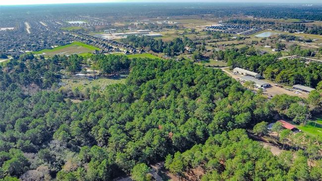 0 Grant Rd, Home with 0 bedrooms, 0 bathrooms and null parking in Cypress TX | Image 4