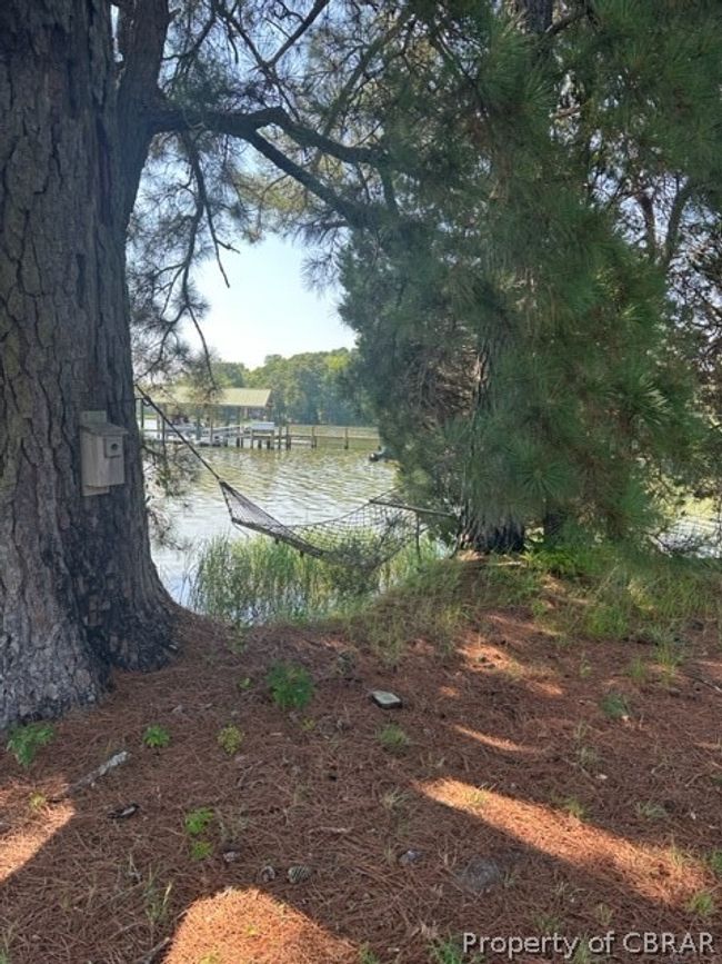 View of yard with a water view | Image 4