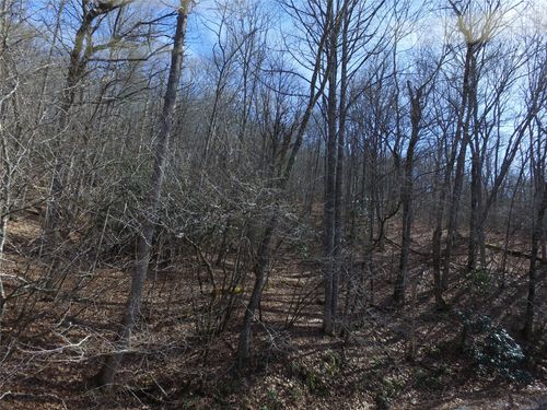 00 Great Falls Dr, Glenville, NC, 28736 | Card Image