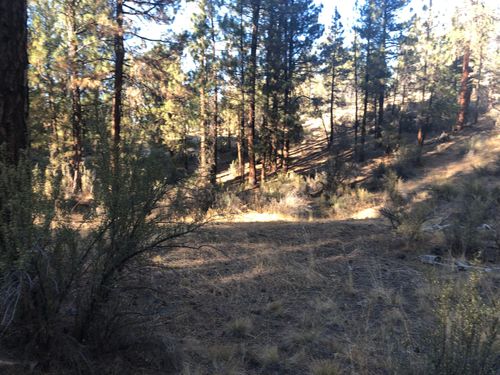 6-32555 Magpie Rd, Chiloquin, OR, 97624-7620 | Card Image