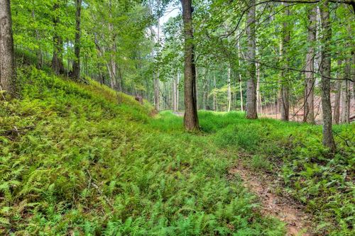 00 River Way, Blue Ridge, GA, 30513 | Card Image