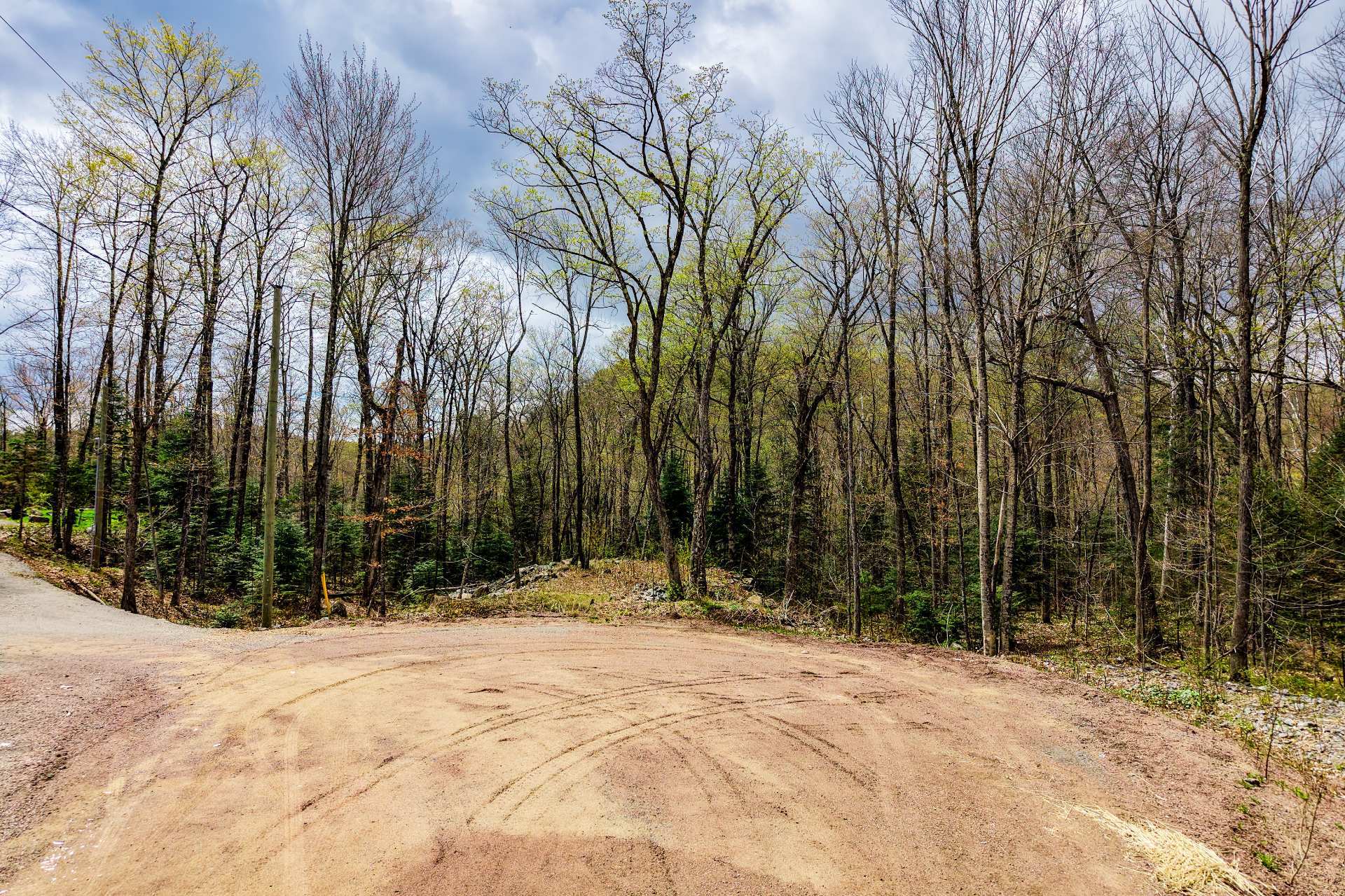 Land in Brownsburg-Chatham 3