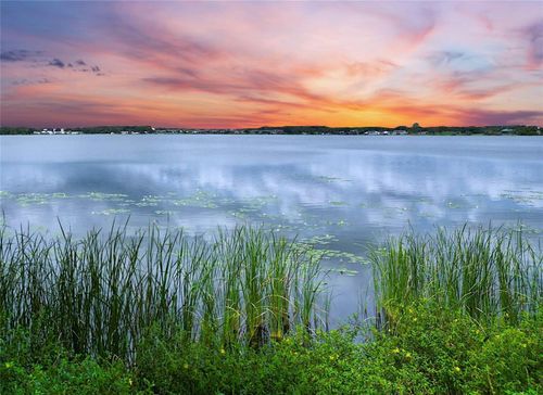 31 Sunset Cir, LAKE ALFRED, FL, 33850-9114 | Card Image