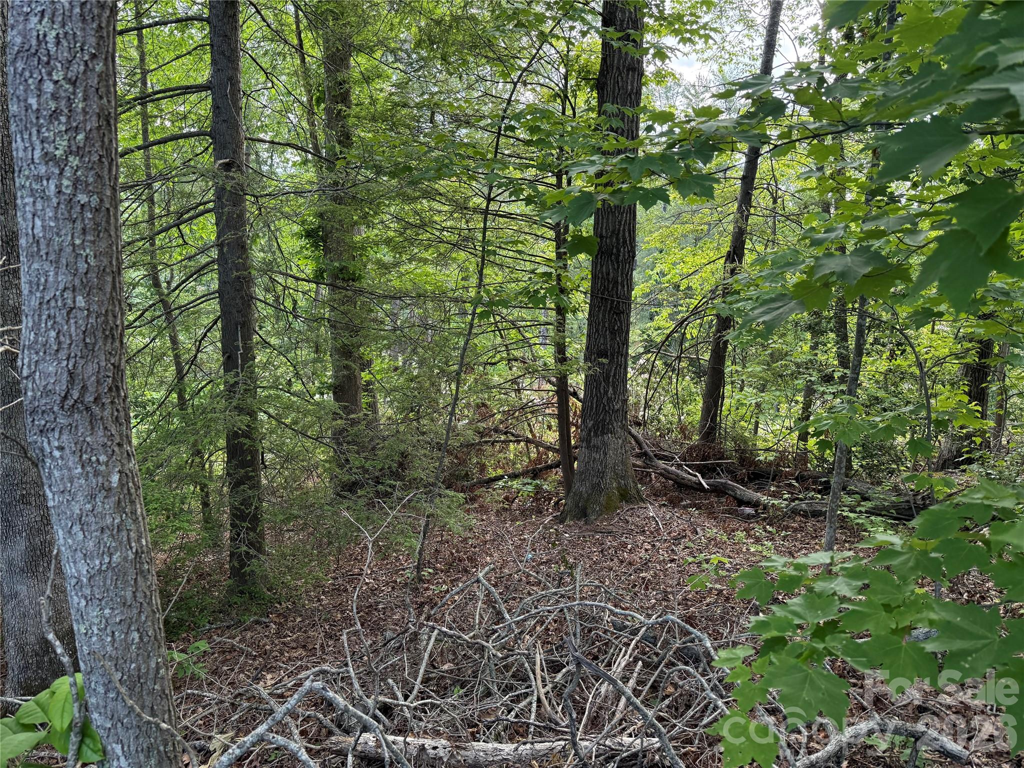 Land in Hendersonville 5