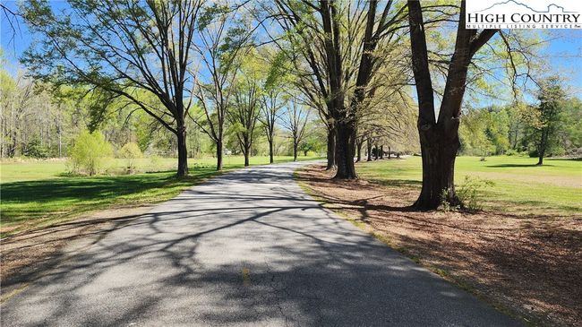 tree lined drive into neighborhood | Image 15