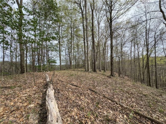 View of nature with a wooded view | Image 41
