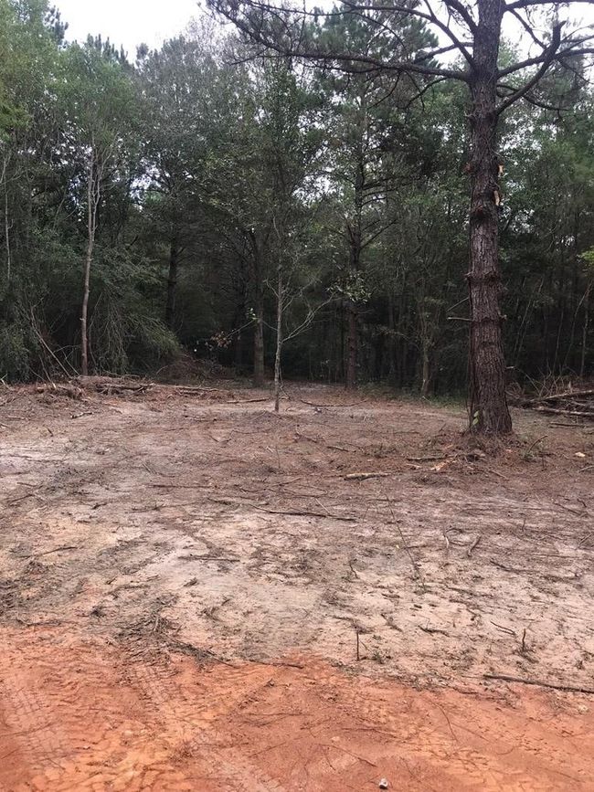 00 Burgetown Rd, Home with 0 bedrooms, 0 bathrooms and null parking in Carriere MS | Image 6