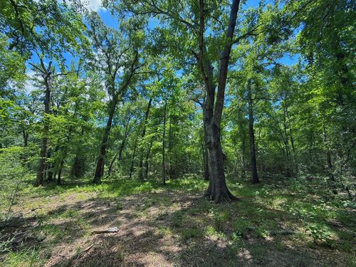 TBD Cr 296, Oakwood, TX, 75855 | Card Image