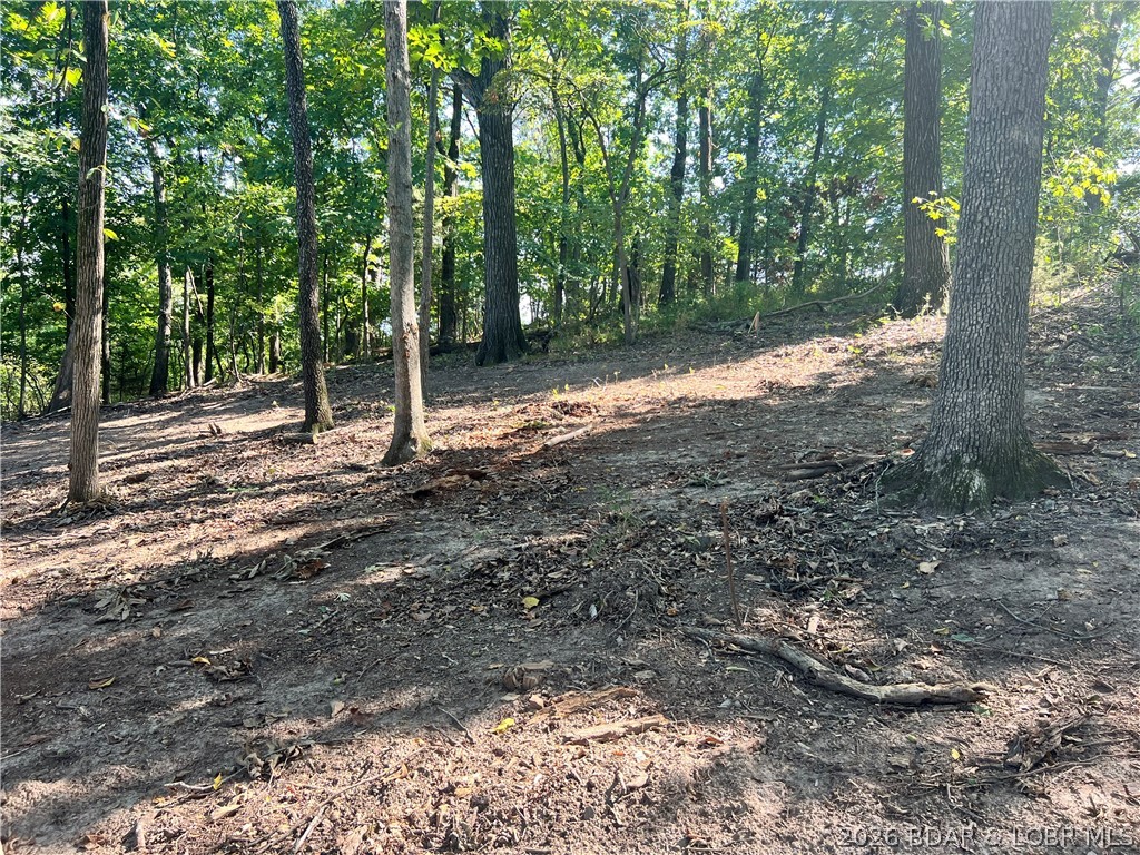 Land in Lake Ozark 5