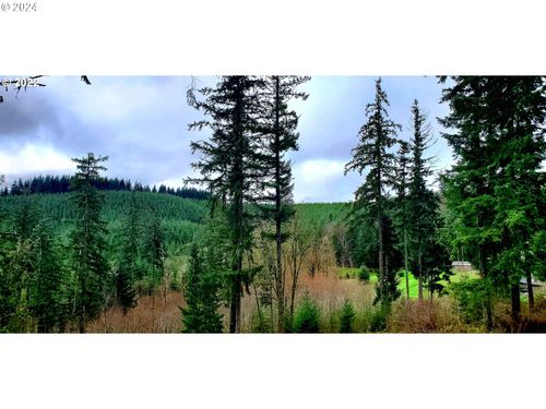  Viewcrest Dr, Warren, OR, 97053 | Card Image