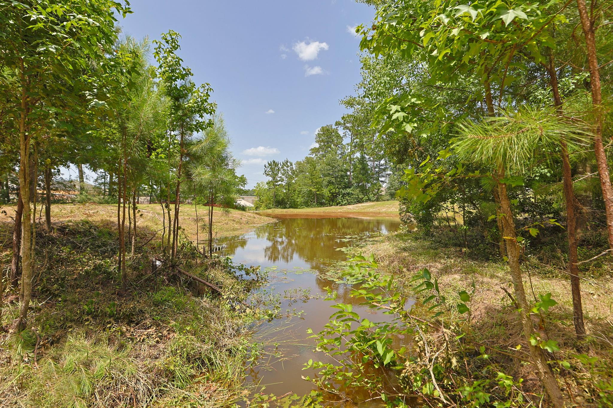 Farm in Montgomery 3