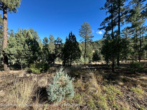Lot 152 Del Monte Dr, Alto, NM, 88312-8050 | Card Image