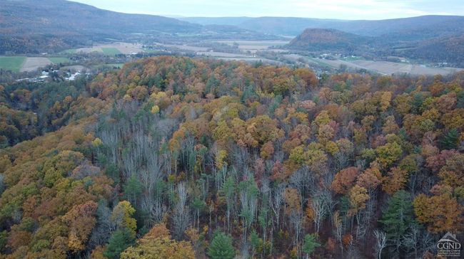 15 Gorge Rd, Home with 0 bedrooms, 0 bathrooms and null parking in Middleburgh NY | Image 17
