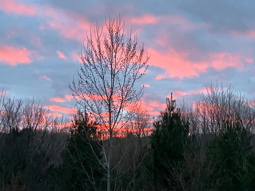 1804 Northbrook Pl, Owatonna, MN, 55060-2158 | Card Image