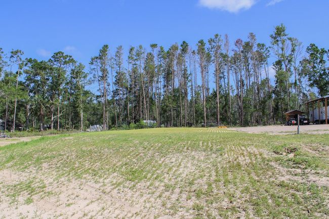 231 Ne Webb Ln, House other with 2 bedrooms, 2 bathrooms and 2 parking in Steinhatchee FL | Image 44