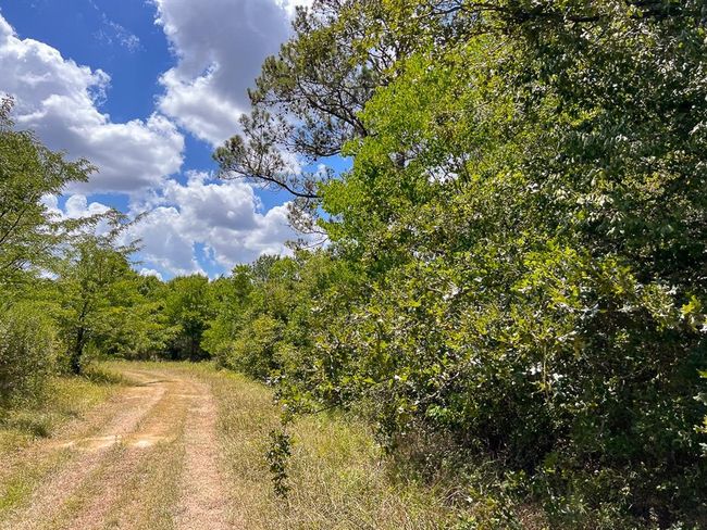 1 Avenue C, Home with 0 bedrooms, 0 bathrooms and null parking in Batson TX | Image 9