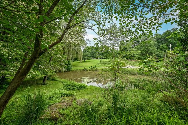 View of one of the two ponds from the front door. | Image 34