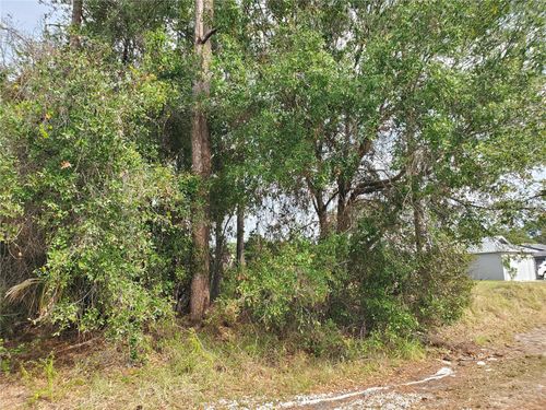 1009 Sw Castaneda Ln, Port St Lucie, FL, 34953-3241 | Card Image