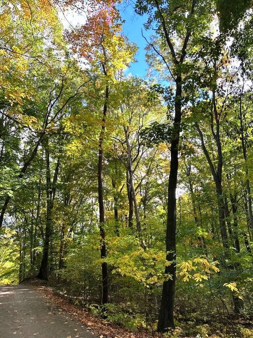 0 College Dr, West Olive, MI, 49460 | Card Image