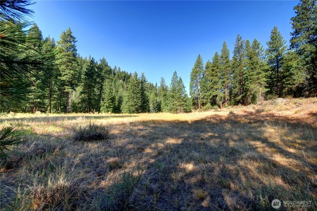 799 Twisp River Rd, Home with 0 bedrooms, 0 bathrooms and null parking in Twisp WA | Image 5