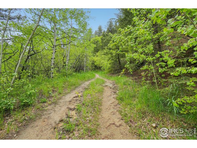 8493 Lefthand Canyon Dr, House other with 3 bedrooms, 2 bathrooms and null parking in Jamestown CO | Image 38